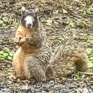 Meet your Posher, Shanna